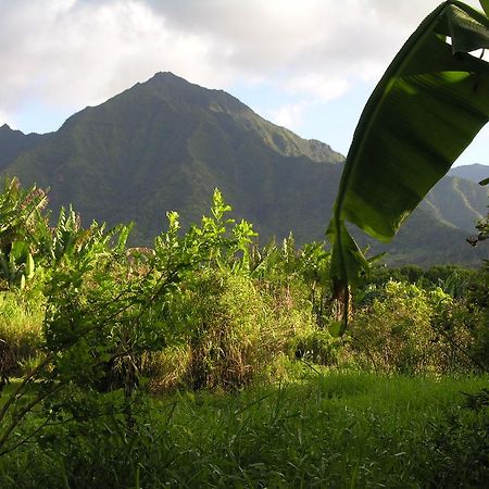 Tutu'S Cottage Hanalei Exterior photo