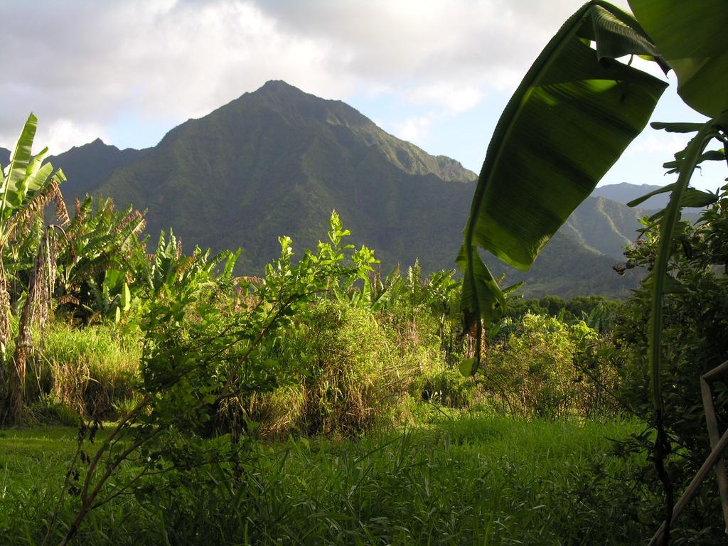 Tutu'S Cottage Hanalei Exterior photo