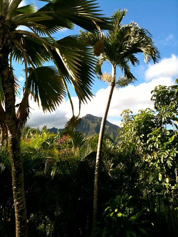Tutu'S Cottage Hanalei Exterior photo